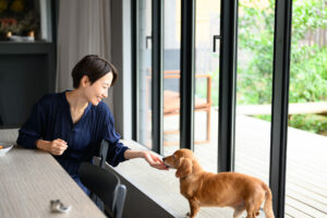 【間取り解説】愛犬も快適！外とつながるインナーテラスのある間取り